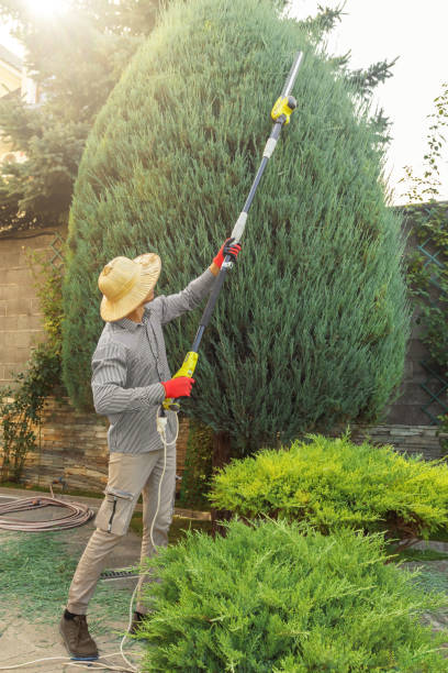 Best Arborist Consultation Services  in Hoover, AL